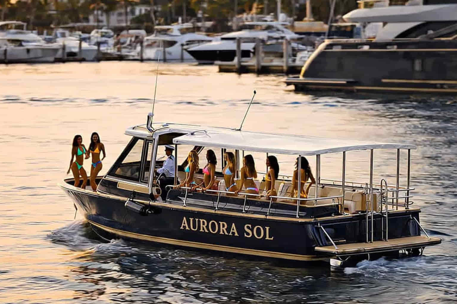 Guests enjoying a private sunset harbor cruise aboard Aurora Sol in Marina del Rey